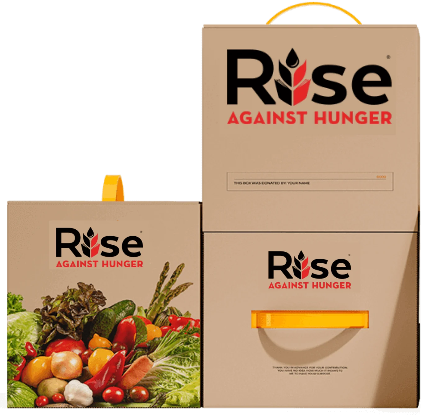 Packed Rise Against Hunger meal boxes ready to ship